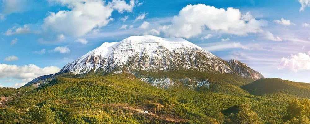 Altiplano de Grenade, terroir de notre charcuterie halal